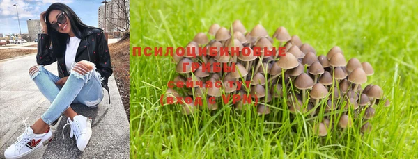 соль ск Нефтегорск