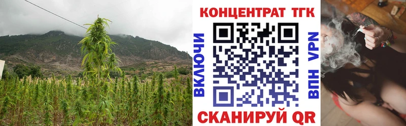 Дистиллят ТГК концентрат Новая Ляля