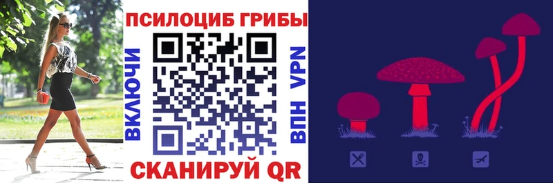 omg зеркало  Новая Ляля  Псилоцибиновые грибы Cubensis 